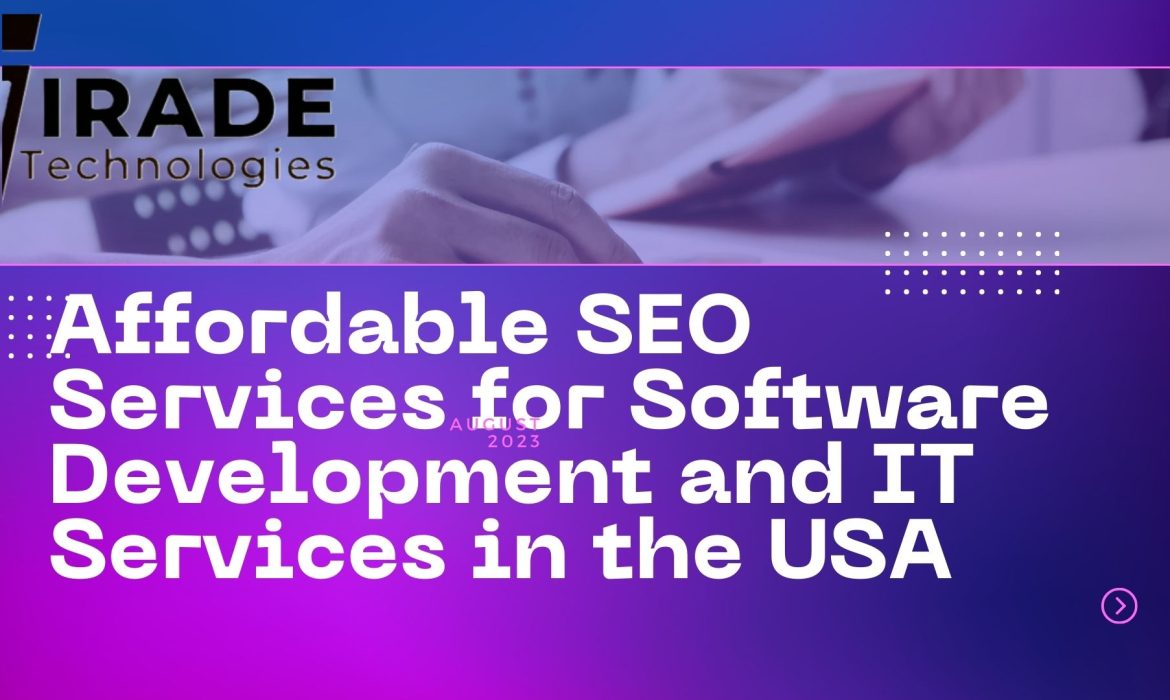 Affordable SEO Services for Software Development and IT Services in the USA