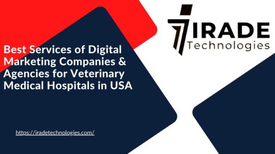 Digital Marketing Agencies for Veterinary Hospitals in USA