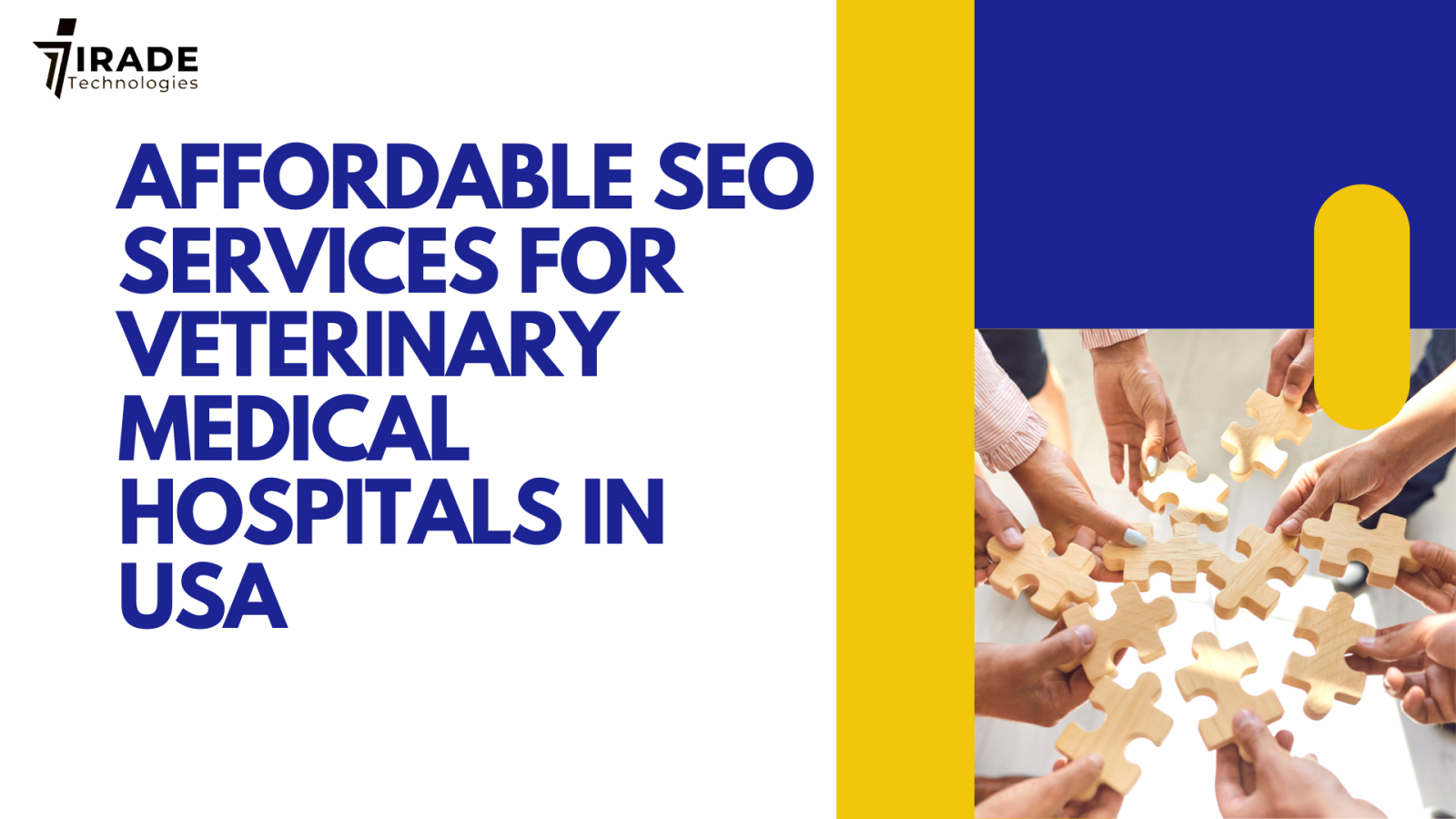 Affordable SEO Services for Veterinary Medical Hospitals in the USA by Irade Technologies