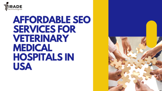 Affordable SEO Services for Veterinary Medical Hospitals in the USA by Irade Technologies