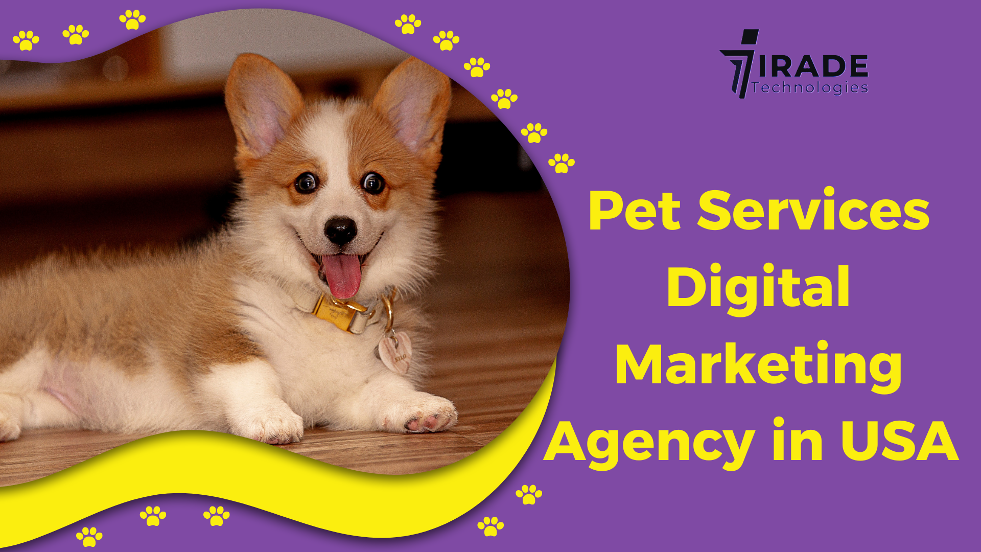 Pet Services Digital Marketing Agency in USA