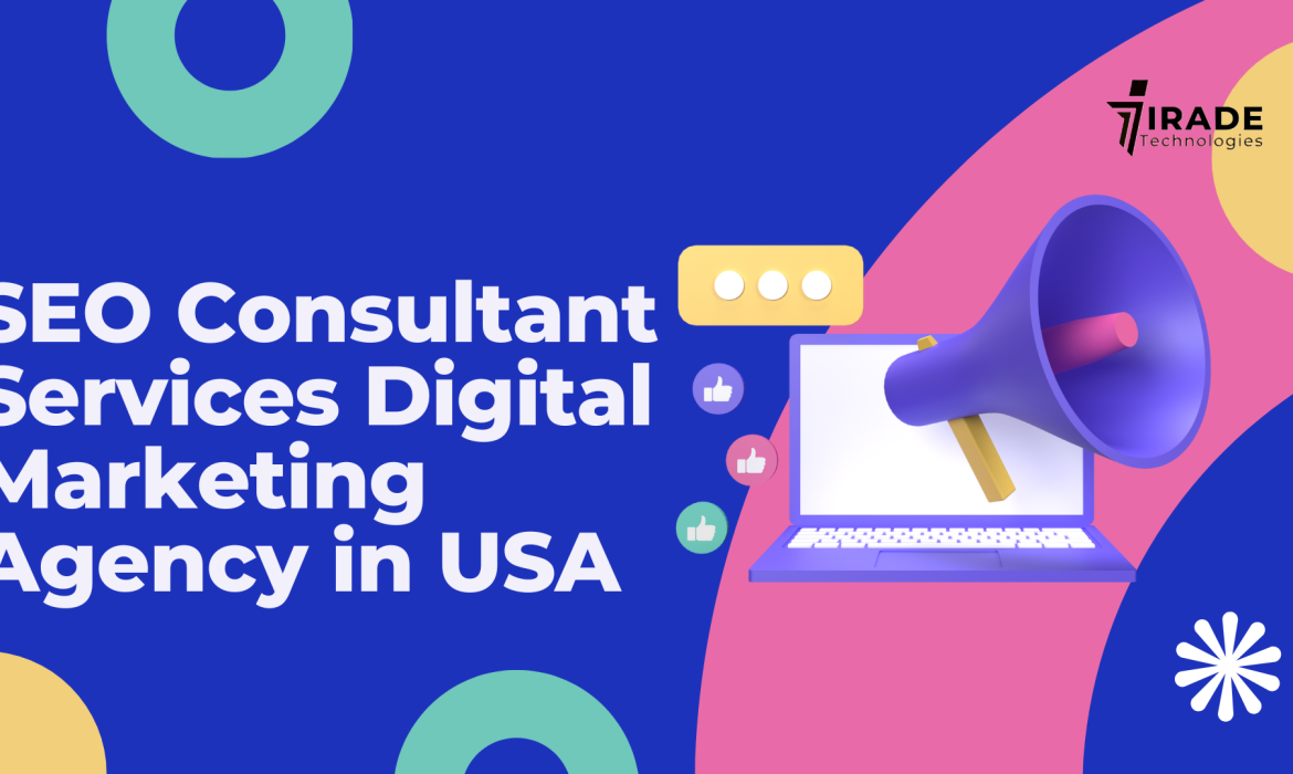 SEO Consultant Services Digital Marketing Agency in USA