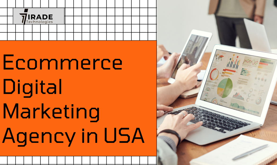 Ecommerce Digital Marketing Agency in USA